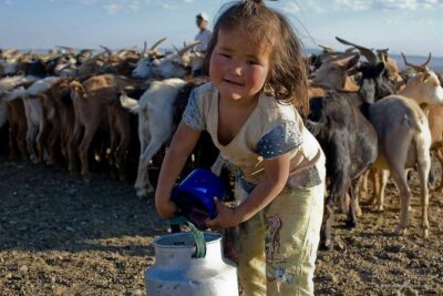 1 Day Semi-Gobi All-included tour