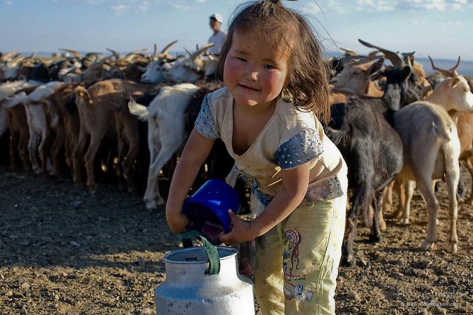 1 Day Semi-Gobi All-included tour - A scenic coffee stop before the dunes