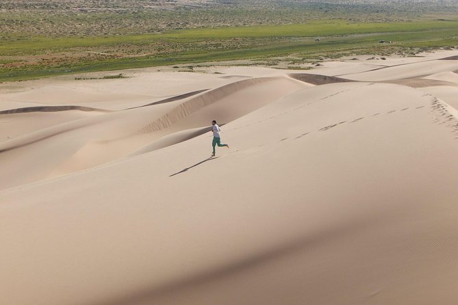 1 Day Semi-Gobi Tour Including Lunch And Free Camel +Bonus Khustai National Park - The 5:00 am start from Ulaanbaatar