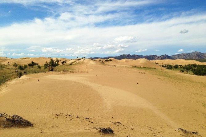1 Day Semi-Gobi Tour Including Lunch And Free Camel +Bonus Khustai National Park - Camel riding near the small dunes