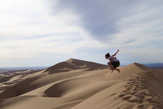 1 Day Semi-Gobi Tour with Lunch And Enjoying Camel or Horseback - A nomadic family visit gives the day its human side