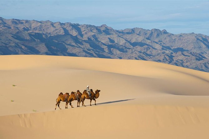 1 Day Semi-Gobi Tour with Lunch And Enjoying Camel or Horseback - Practical limits you should consider