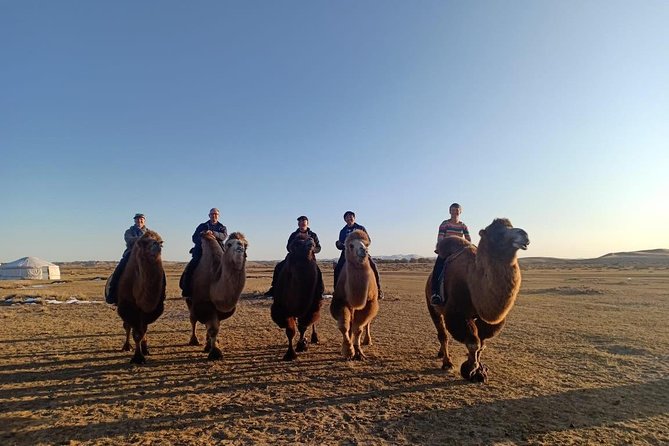2 day Central Mongolia - The key points before you book
