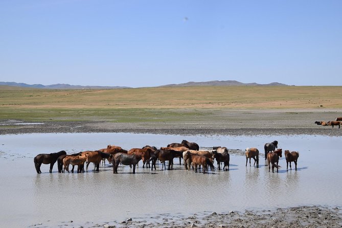 2 day Central Mongolia - Why this short trip works for a tight schedule