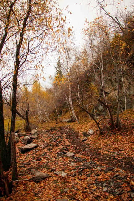 2 Day Horse trekking in Terelj national park - Why this two-day Terelj trip is worth considering