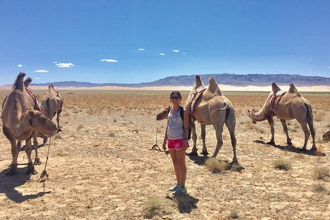 2D,1N Gobi desert and Old city Kharkhorum stay with Nomadic family - Camel riding and the appeal of a compact desert