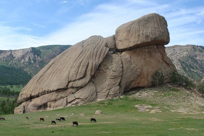 3 DAYS Terelj national park and Central Mongolia - Guides, drivers, and the small-group advantage