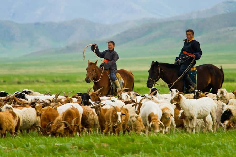4 Day Central Mongolia - Day 4: Hustai National Park on the way back