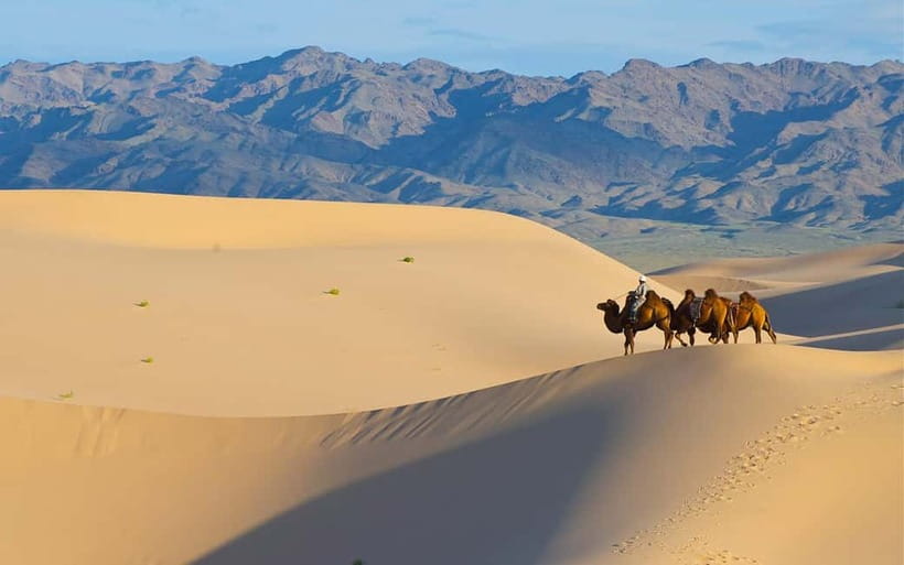 4 Days Central Mongolia-Amazing experiece - At a glance: what makes this trip different