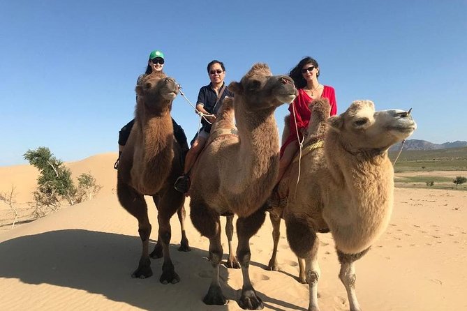 4 Days-The Best of Mongolia Collection tour - Day 2: Kharkhorin and the Mongol Empire