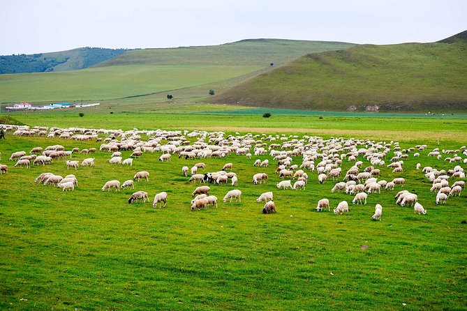 4 Days Tour: Central Mongolia - Day 2: Orkhon Waterfall and volcanic country