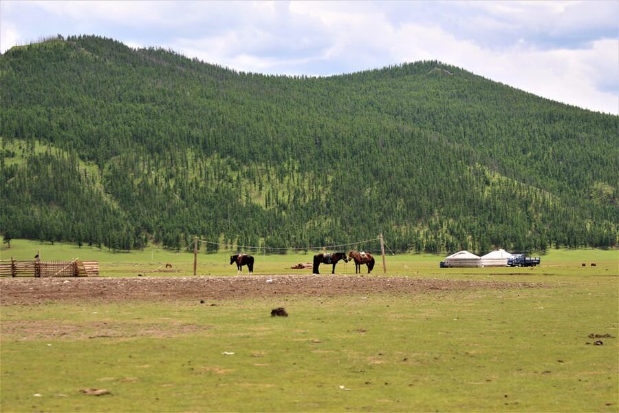 5 day Central Mongolia and Nomad stay tour - Day 3: Orkhon Waterfall and volcanic country