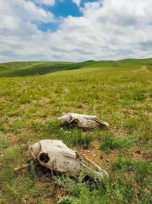 5 day Central Mongolia and Nomad stay tour - What the $1,092 price includes