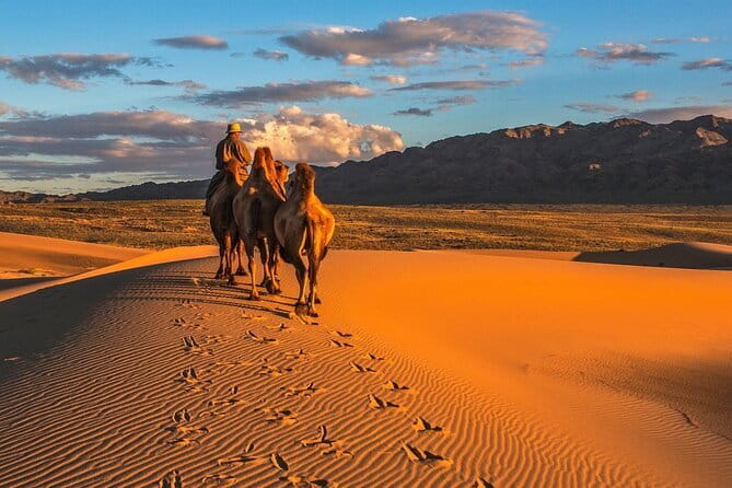 6 Days Color of Gobi Desert - Day 3: Ice and shade in Yoliin Am