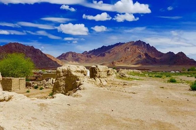7 days Great Gobi Tour - Key points to know before booking