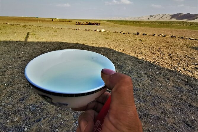 8 Day Great Gobi and Central Mongolia - Day 4: Bayanzag, then the ruins of Ongi Monastery