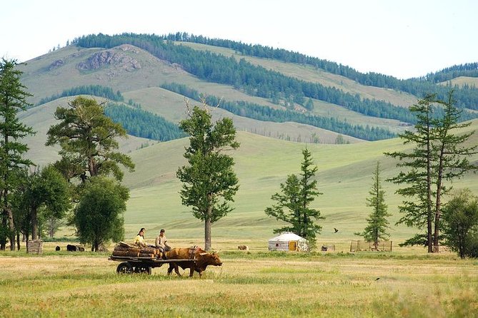 A day trip to Terelj National Park and Statue of Chinggis Khan - The Chinggis Khan statue: Mongolia’s grand opening act