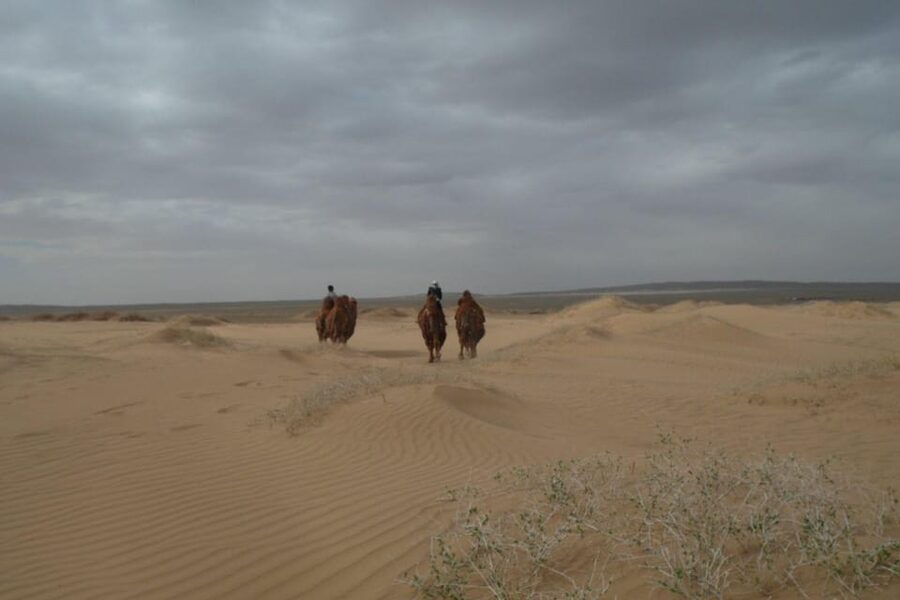 Best 6-Day Gobi Tour Discover Mongolia - Day 3: Camel riding beside Khongor Sand Dune