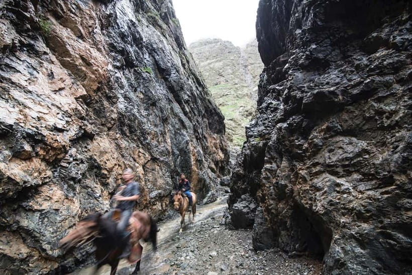 Bus tour to visit Gobi 4 day - Key points to know before booking