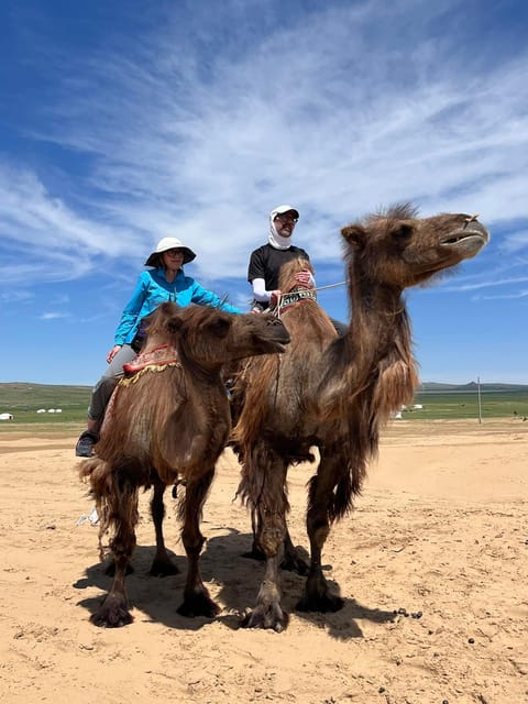 Camel Trails and Bird Tales: Discovering Elsen Tasarkhai - Lunch around 1:00 PM breaks up the journey