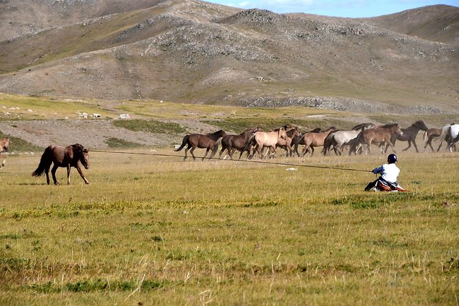 Day Trip to Terelj National Park & Giant Chinggis Khaan Statue - The 9:00 AM departure and ride into the countryside