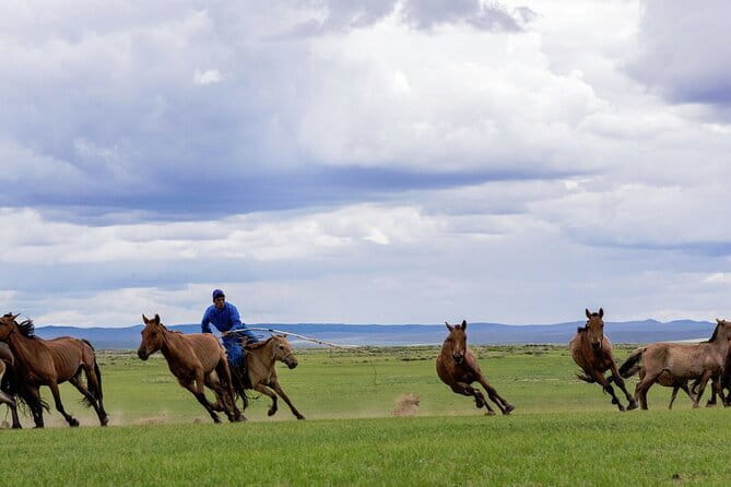 Essence of Mongolia 5 Days - The trip’s most useful highlights