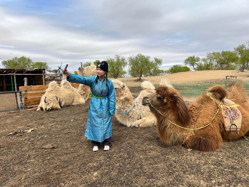 From Ulaanbaatar: Central Mongolia Guided 3-Day Tour - Day two: dunes, camels, and a nomadic home