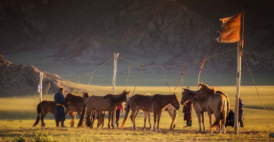 From Ulaanbaatar: Day Trip to Hustai National Park - Hiking, photography, and the limits of a six-hour visit
