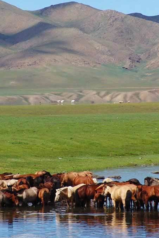 From Ulaanbaatar: Day Trip to Hustai National Park - The drive back can be the wildest part