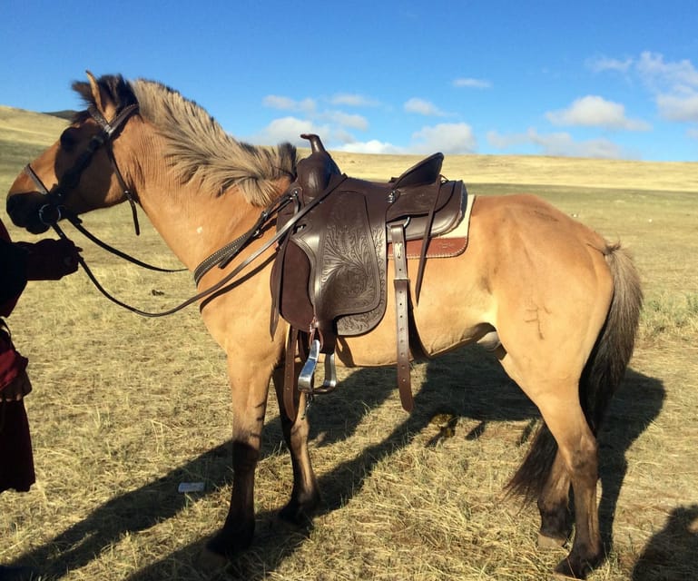 From Ulaanbaatar: Day Trip to Hustai National Park - Leaving Ulaanbaatar at 9 AM, or earlier in summer