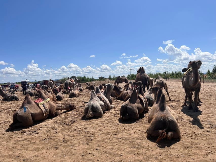 From Ulaanbaatar: Semi Gobi and Ancient Kharkhorin Tour - Is $270 a fair price?