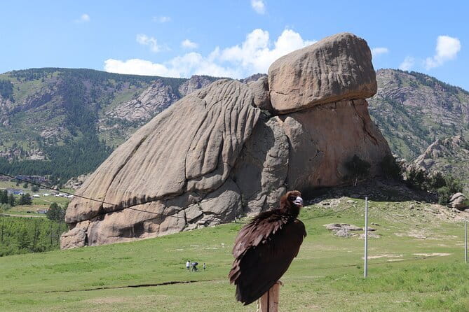 Full Day Chinggis Khaan Statue & Terelj NP Tour +Horseride, Eagle - What the $130 price includes