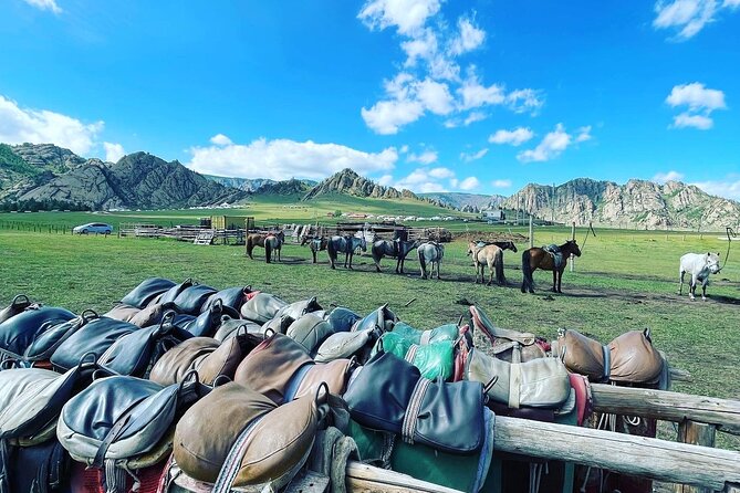 Full Day Private Tour in Terelj National Park with Horse Riding - Turtle Rock and Ariyabal Meditation Temple