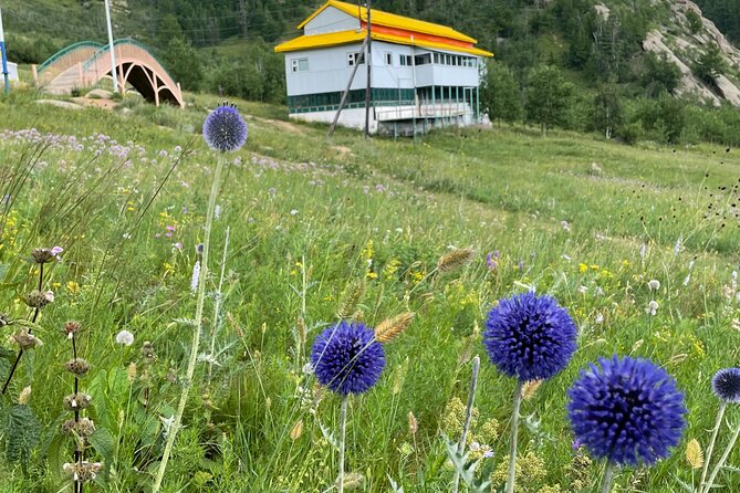 Full Day Private Tour in Terelj National Park with Horse Riding - Is $130 per person a fair price?