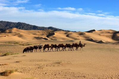 Gobi desert Mongolia for 8 days