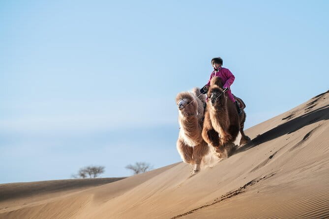 Gobi tour Mongolia 7 Days - Why this seven-day Gobi route works