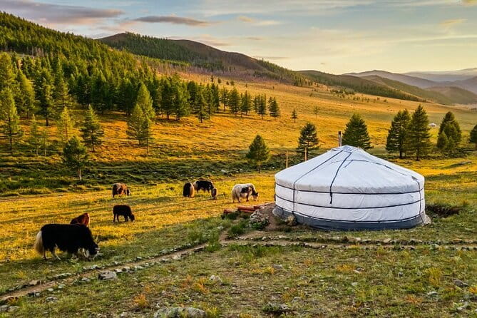 Gobi tour Mongolia 7 Days - Day 3: The colored cliffs of Tsagaan Suvarga