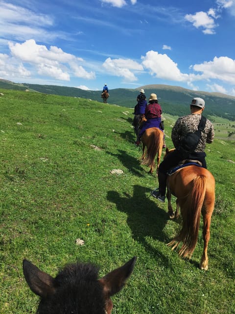 Horse riding experience in Terelj National park 1 day - Key points to know before booking