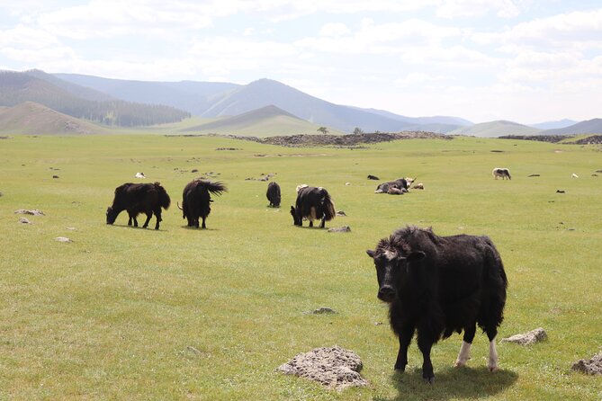 Khuvsgul Lake & Central Mongolia 8 Days Tour - Days Five And Six: Two Ways To Experience Khuvsgul Lake