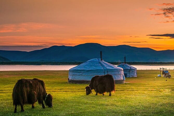 Mongolia - Sedan, Lexus, UAZ Minivan, 4WD Tour& Transport Service - Is $100 good value?