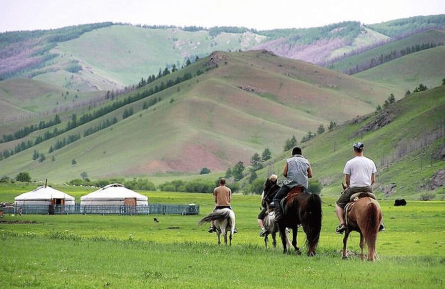 MONGOLIAN NOMADS: 2-Day Horse Trekking & Cow Milking Tour - The details that shape this two-day Mongolian stay