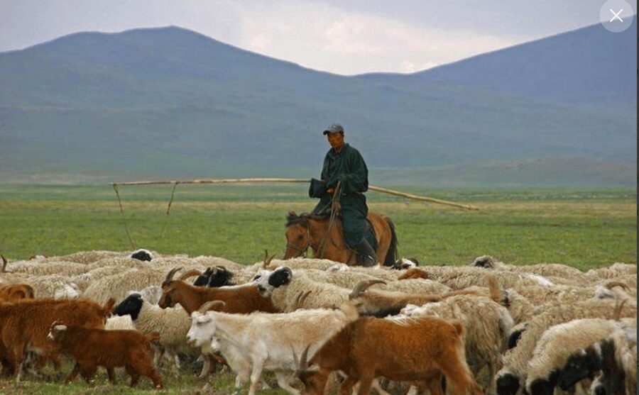 MONGOLIAN NOMADS: 2-Day Horse Trekking & Cow Milking Tour - Sleeping in a warm ger under Mongolian stars