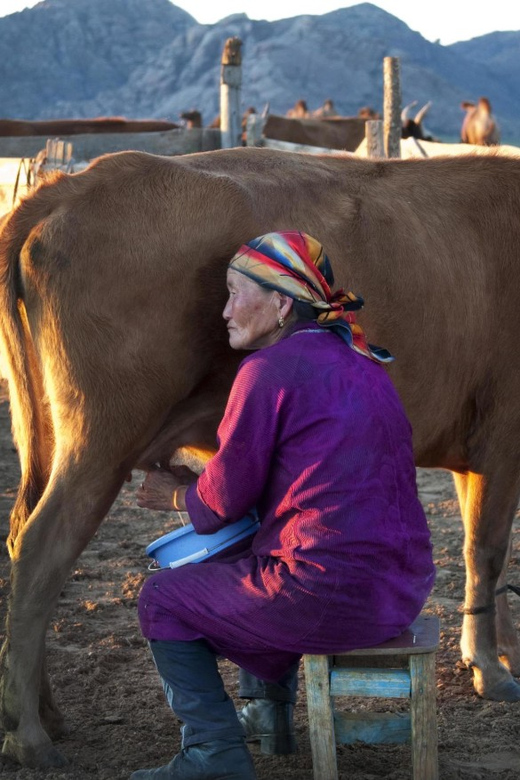 MONGOLIAN NOMADS: 2-Day Horse Trekking & Cow Milking Tour - The practical limits of an authentic stay