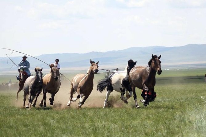Overnight Semi-Gobi Tour with Nomadic HomeStay - The Eight-Hour Road to Elsen Tasarkhai