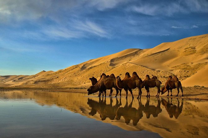 Overnight Semi-Gobi Tour with Nomadic HomeStay - Important Questions to Ask Before Booking
