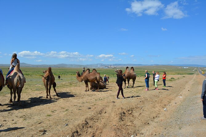 Private Day Tour: Terelj National Park + Genghis Khan's Statue .. - How the private format changes the experience