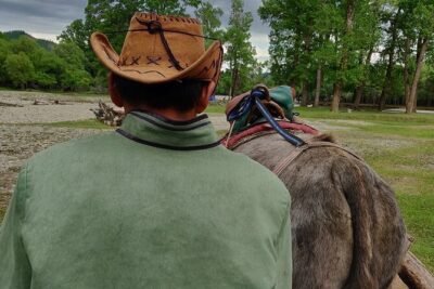 Terelj National Park & Chinggis Khan Statue Day Tour