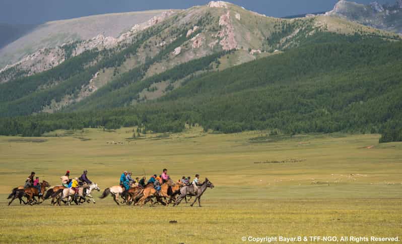 Terelj National Park: Tour with horse riding and hiking - Horse riding on a Mongolian horse