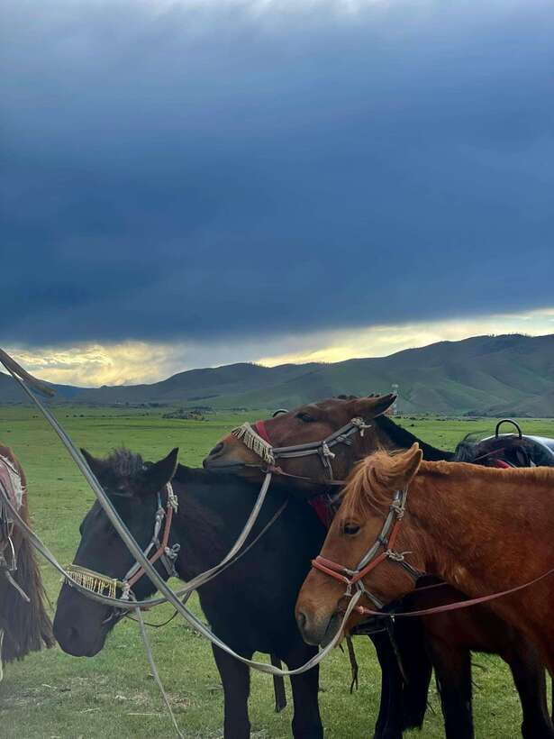 Terelj national park transport /Best price tour - Meeting at Ulaanbaatar Department Store at 9 am