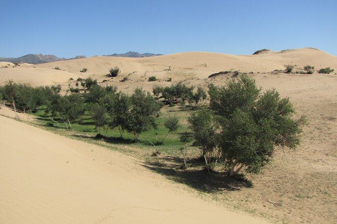 The Best of Central Mongolia Tour in 5 Days - Why this route works for a first look at Central Mongolia